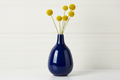 Vase with Wellspring White wallpaper backdrop