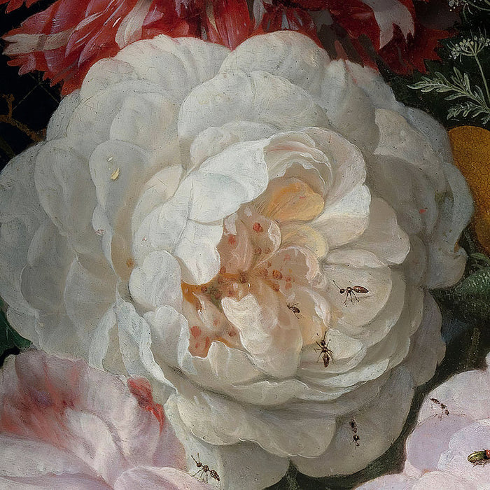 Amsterdam Flowers - Custom Sized Wallpaper Mural (per m2)