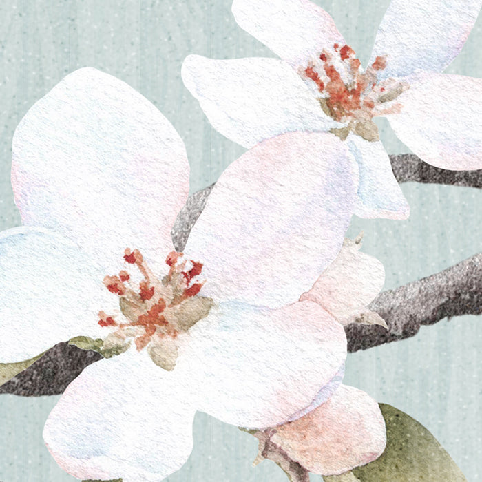 Apple Blossom - Custom Sized Wallpaper Mural (per m2)