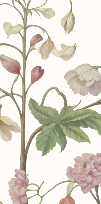 Arboretum Exotic Tropical Garden - Custom sized wallpaper mural (per/m2) - White