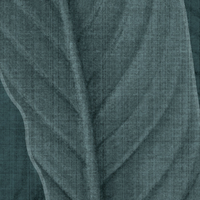 Bain de Feuilles - Custom Sized Wallpaper Mural (per m2)
