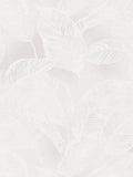 Banana Grove - Leaf Wallpaper - White
