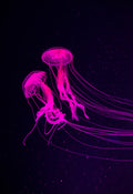 Barbies Jellyfish Mural