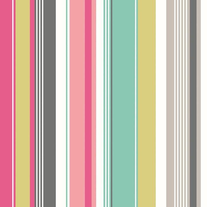 Barcode Wallpaper - Raspberry