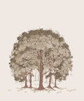 Beech Forest - Custom Sized Wallpaper Mural (per m2) - Brown Shades