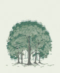 Beech Forest - Custom Sized Wallpaper Mural (per m2) - Green Shades