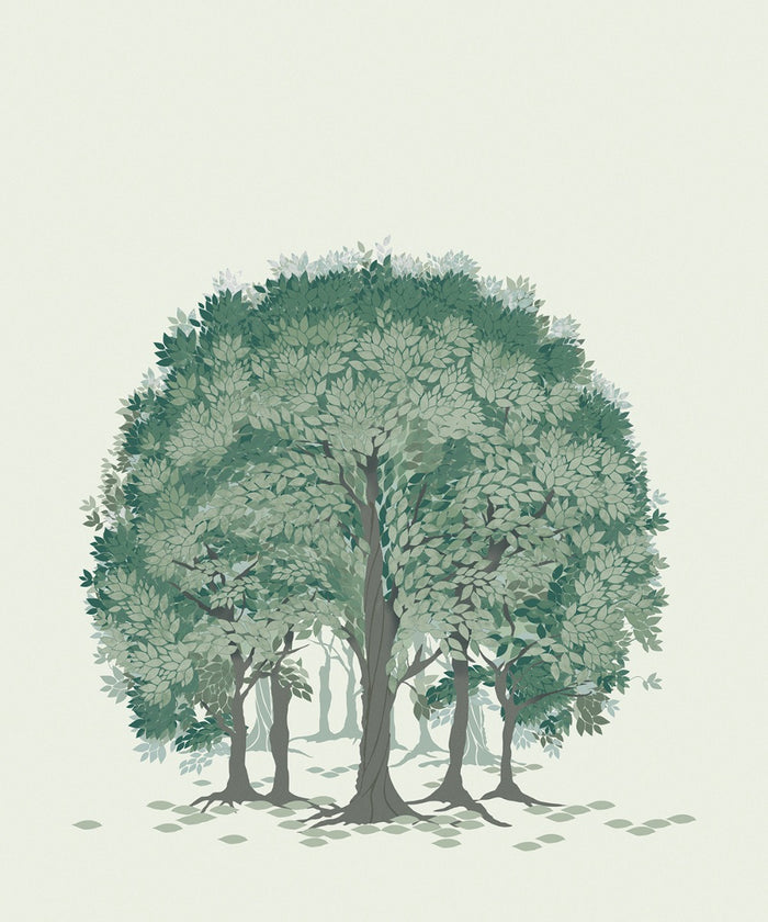 Beech Forest - Custom Sized Wallpaper Mural (per m2) - Green Shades