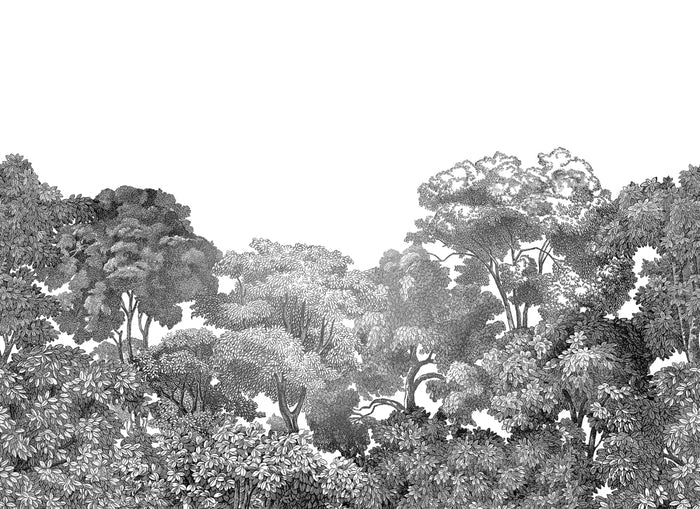 Bellewood Clouds - Black - Custom Sized Wallpaper Mural (per m2)