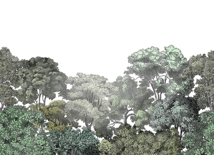 Bellewood Clouds - Green - Custom Sized Wallpaper Mural (per m2)