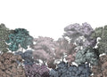 Bellewood Clouds - Rainbow - Custom Sized Wallpaper Mural (per m2)