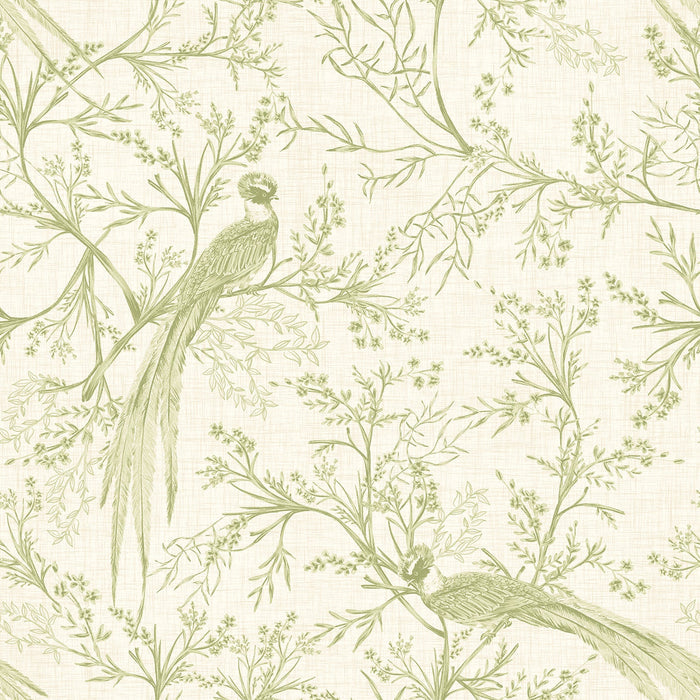 Bird Toile Wallpaper - Sage