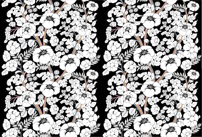 Black Rainbow Custom Sized Wallpaper Mural (per m2)