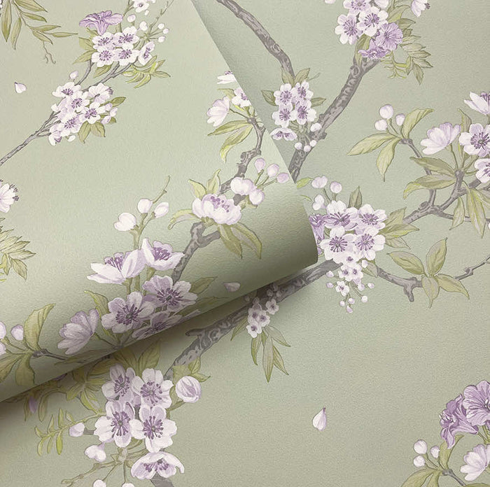 Cherry Blossom – Trailing Branches Wallpaper – Sage Heather