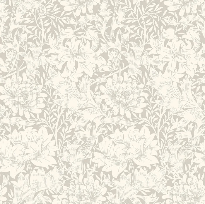 Chrysanthemum - Eden by Morris Wallpaper - Dove
