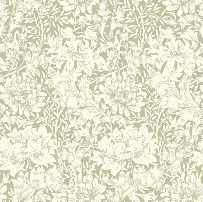 Chrysanthemum - Eden by Morris Wallpaper - Sage Green