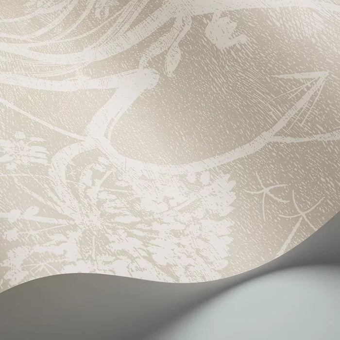 Cow Parsley Wallpaper - Taupe