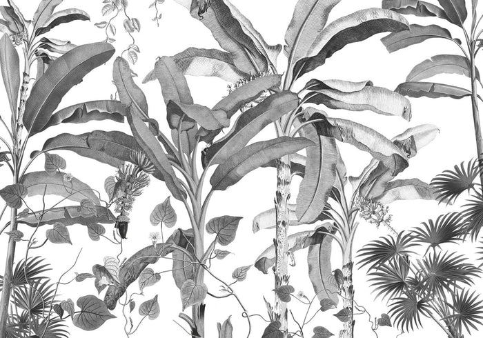 Croissances Monochrome - Custom Sized Mural Wallpaper (per m2)