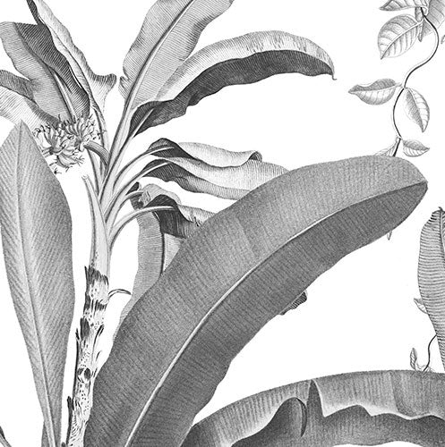 Croissances Monochrome - Custom Sized Mural Wallpaper (per m2)