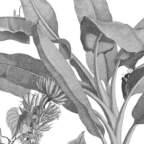 Croissances Monochrome - Custom Sized Mural Wallpaper (per m2)
