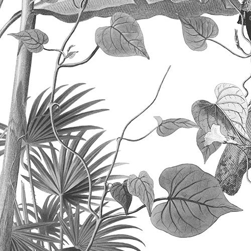 Croissances Monochrome - Custom Sized Mural Wallpaper (per m2)