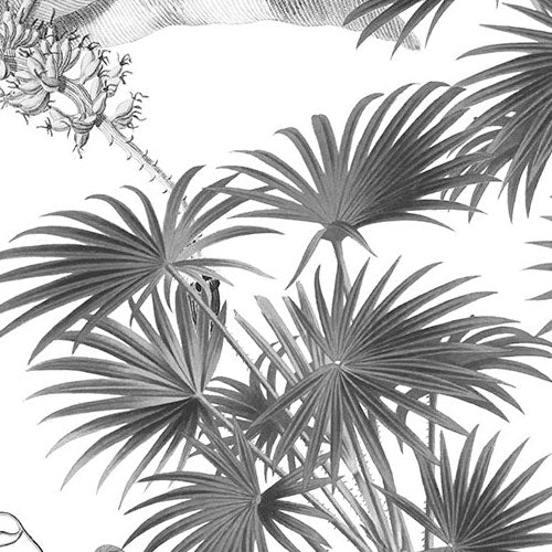 Croissances Monochrome - Custom Sized Mural Wallpaper (per m2)