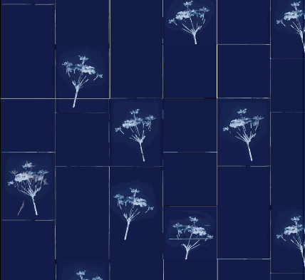 Cyanotype Floral - Prussian Blue - Custom Sized Wallpaper Mural (per m2)