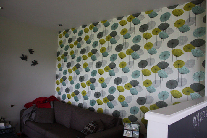 Dandelion Clocks Wallpaper - Chaffinch