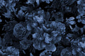 Ebony Rose - Custom Sized Wallpaper Mural (per m2)