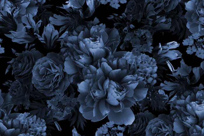 Ebony Rose - Custom Sized Wallpaper Mural (per m2)