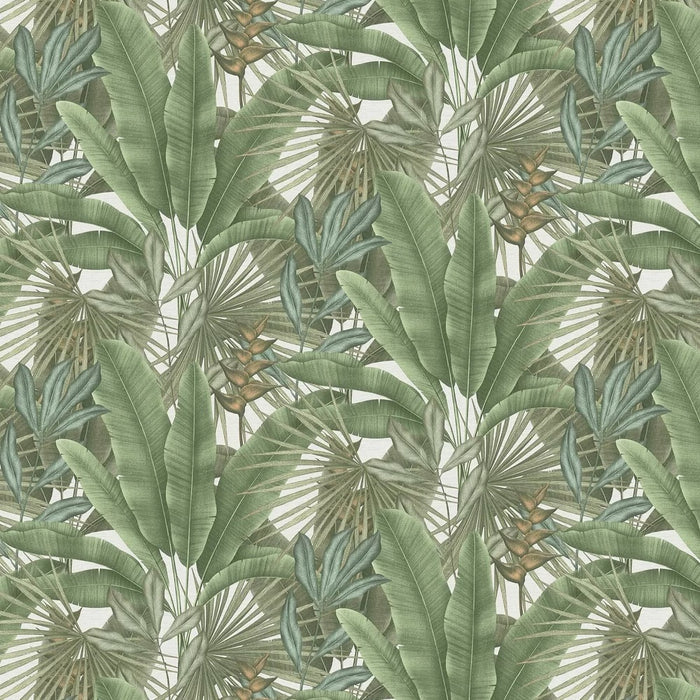 Exotic Jungle Wallpaper - Green