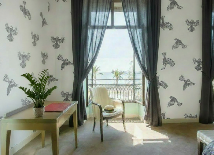 Fantail Flight Wallpaper Hotel Room with Larger Zamioculcas Plant