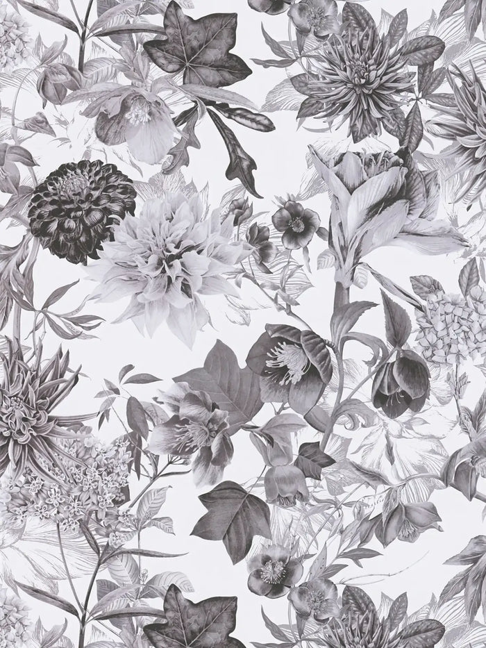 Floral Trails Wallpaper - Monochrome