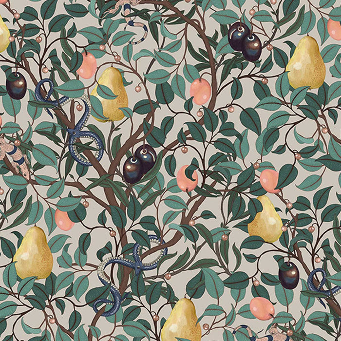 Fruit Garden Wallpaper -  Colourful
