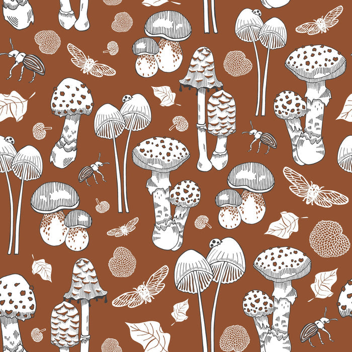 Fungi - NZ Wallpaper - Autumn