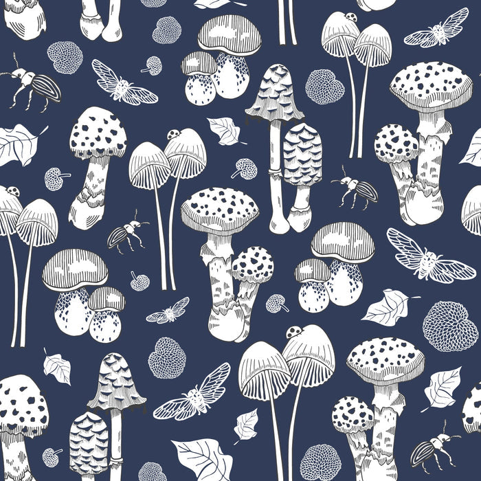 Fungi - NZ Wallpaper - Midnight