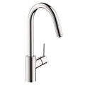Hansgrohe 14872001 Talis S Single Hole Kitchen Pull Down 1-spray, Chrome