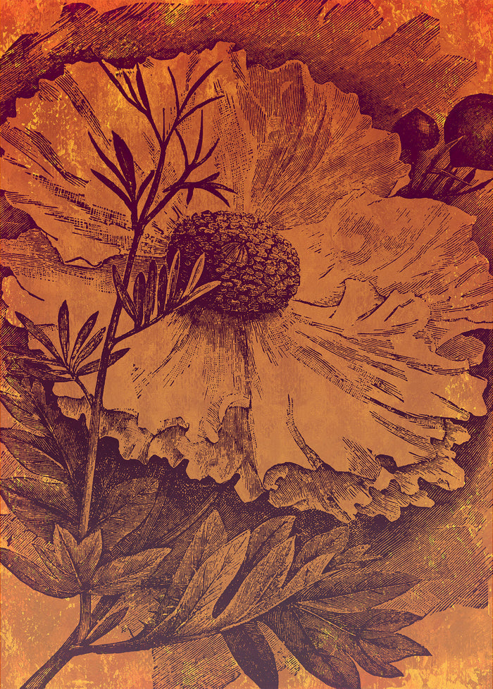 Harvest - Custom Sized Mural Wallpaper (per m2)