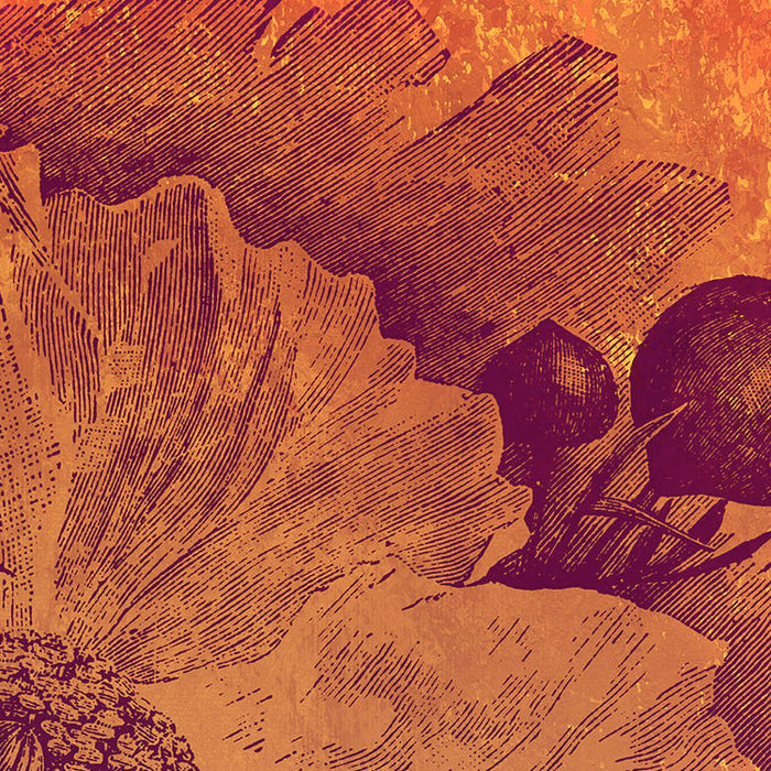 Harvest - Custom Sized Mural Wallpaper (per m2)