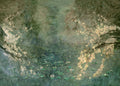 Heroidas Floral Oil Painting - Green Yellow - Custom Sized Wallpaper Mural (per m2)