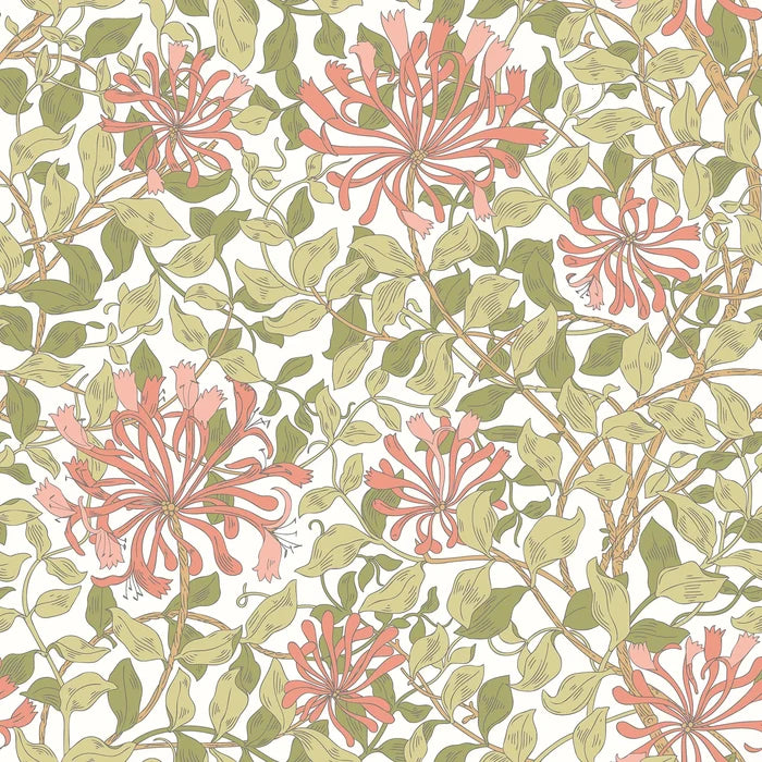Honeysuckle Leaf Trail - Ohpopsi - Coral Pink