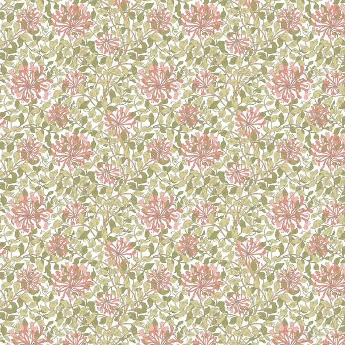 Honeysuckle Leaf Trail - Ohpopsi - Coral Pink