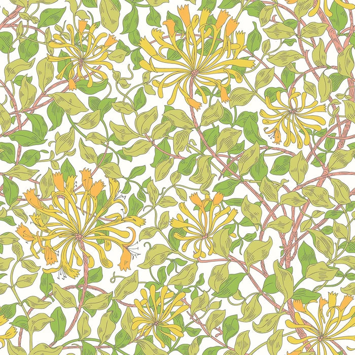 Honeysuckle Leaf Trail Wallpaper - Ohpopsi - Sunshine Yellow