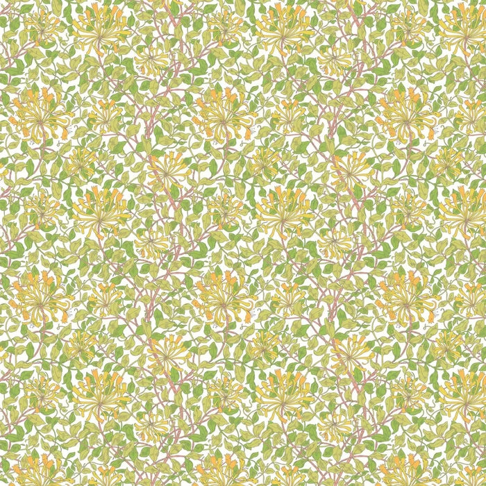 Honeysuckle Leaf Trail Wallpaper - Ohpopsi - Sunshine Yellow