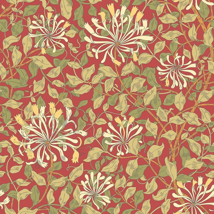 Honeysuckle Leaf Trail Wallpaper - Ohpopsi - Terracotta
