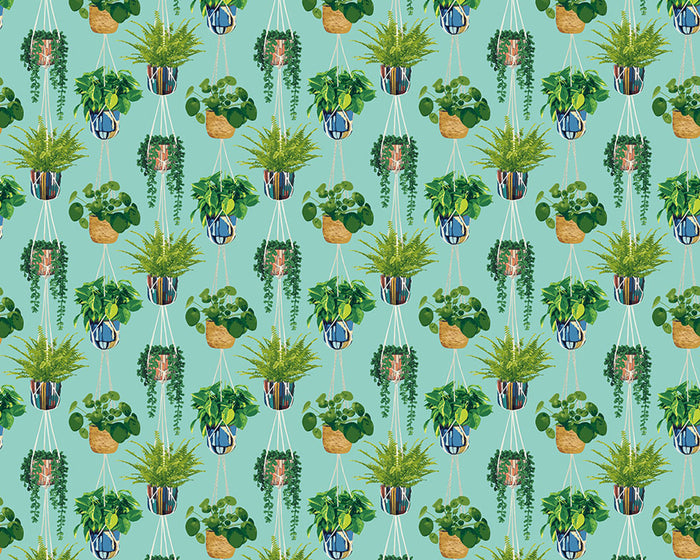 Houseplant Wallpaper - Cerulean Twist