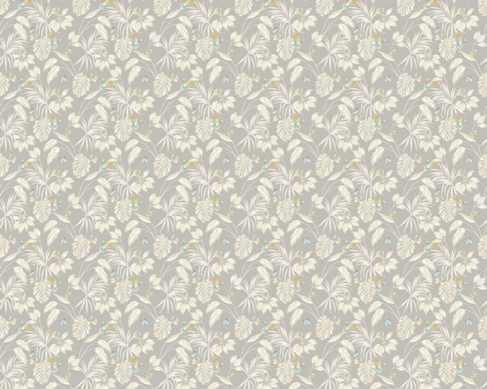 Hummingbird Wallpaper - Ohpopsi - Flint