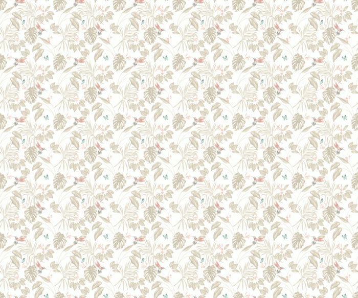Hummingbird Wallpaper - Ohpopsi - Oyster