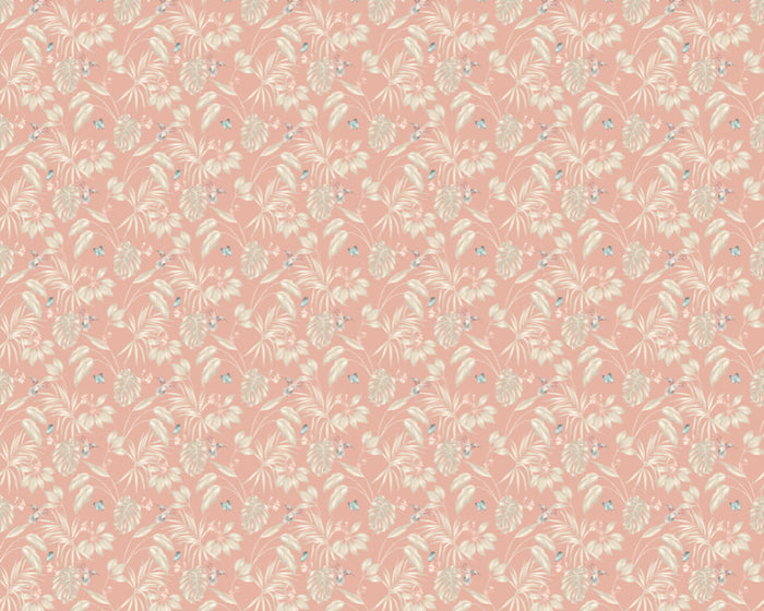 Hummingbird Wallpaper - Ohpopsi - Rosewood