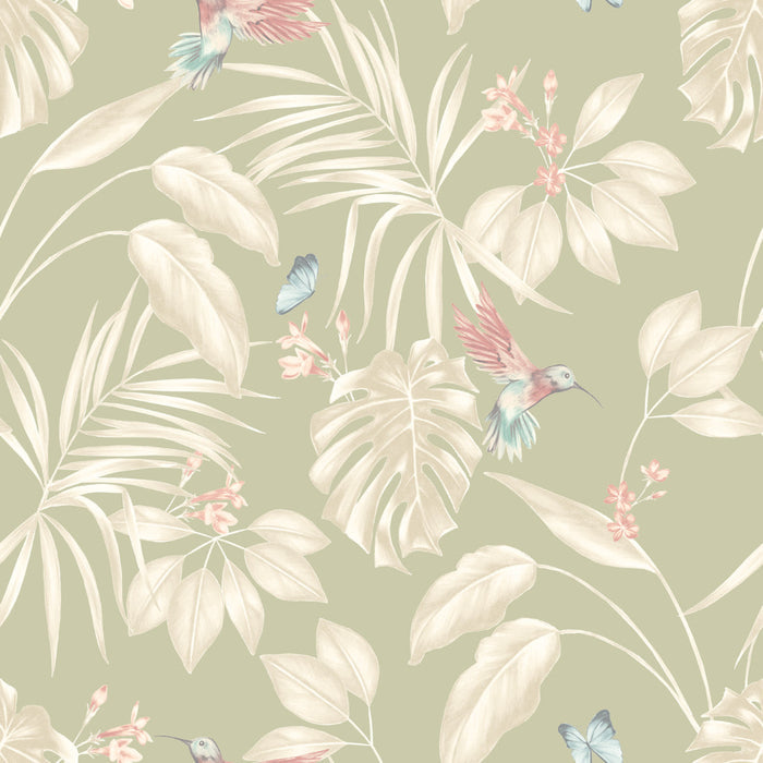 Hummingbird Wallpaper - Ohpopsi - Sage
