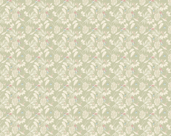 Hummingbird Wallpaper - Ohpopsi - Sage